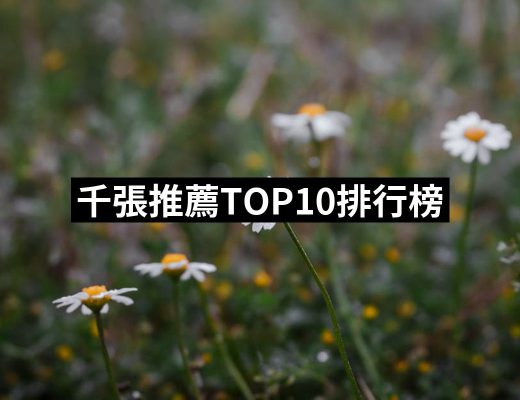 【2025】千張推薦10款高評價千張品牌排行 | 好吃美食的八里人
