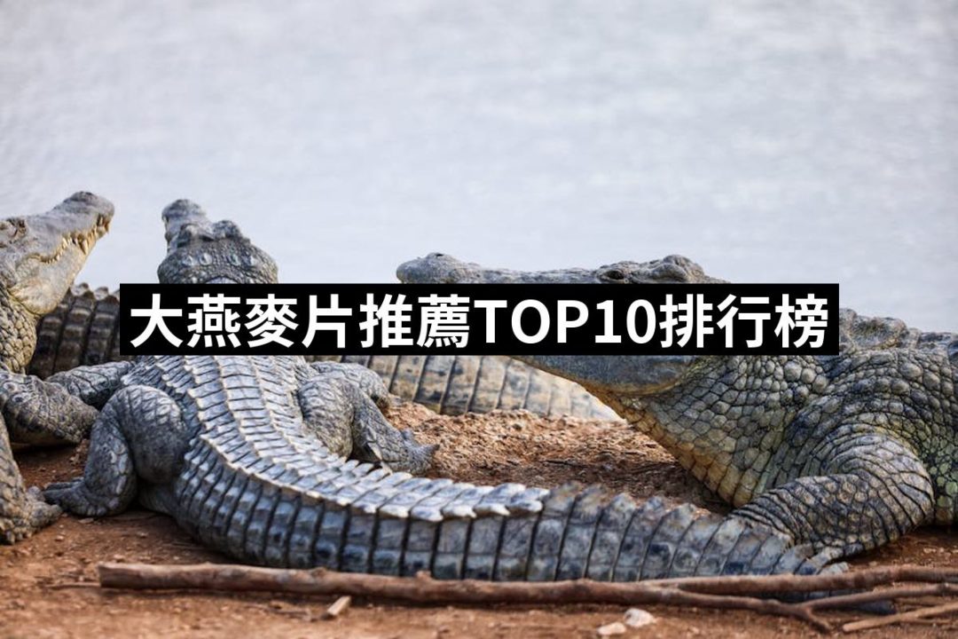 【2025】大燕麥片推薦ptt》10款高評價人氣品牌排行榜 | 好吃美食的八里人