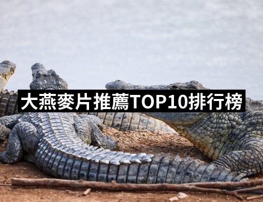【2025】大燕麥片推薦ptt》10款高評價人氣品牌排行榜 | 好吃美食的八里人