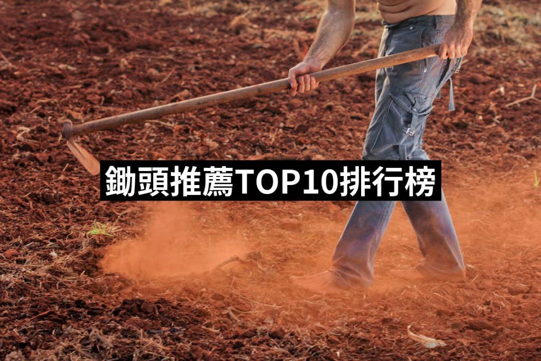 【2025必買】鋤頭終極推薦清單 | 好吃美食的八里人
