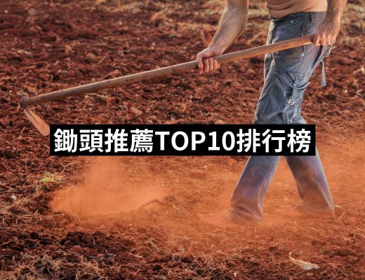 【2025必買】鋤頭終極推薦清單 | 好吃美食的八里人